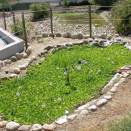 La Hipica 게스트하우스