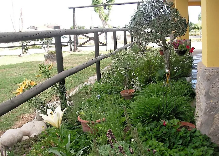 La Hípica Rosalejo (Caceres)