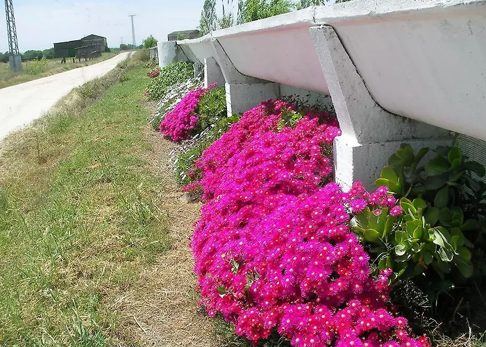 Maison d'hôtes La Hipica 3*