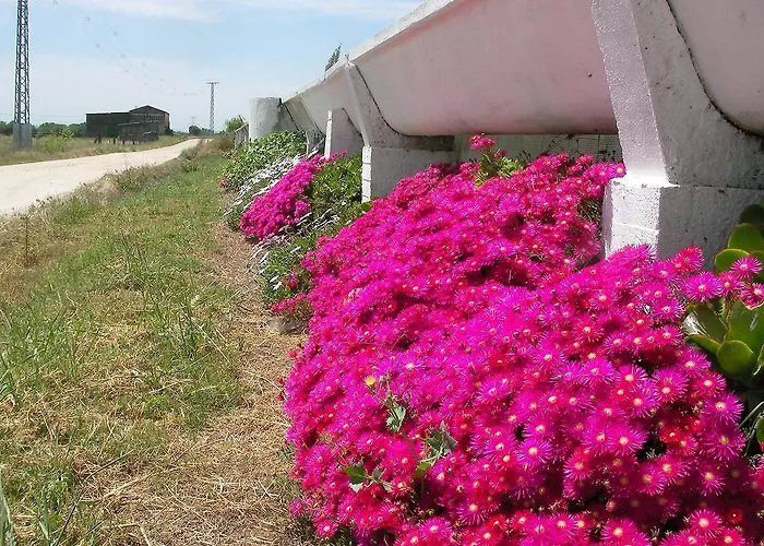 La Hipica Rosalejo (Caceres)
