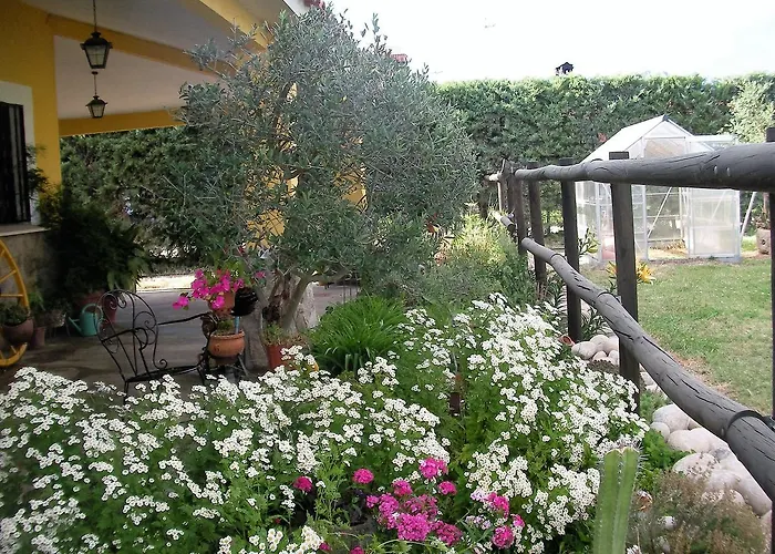 La Hípica Rosalejo (Caceres)